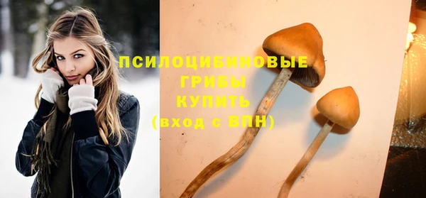 хмурый Наволоки