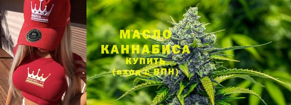 твердый Михайлов