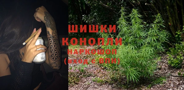 твердый Михайлов