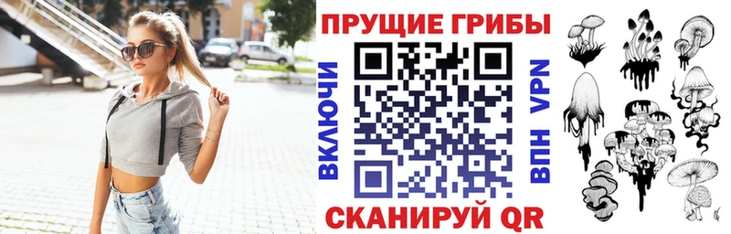 KRAKEN как зайти Приморско-Ахтарск Псилоцибиновые грибы Psilocybine cubensis