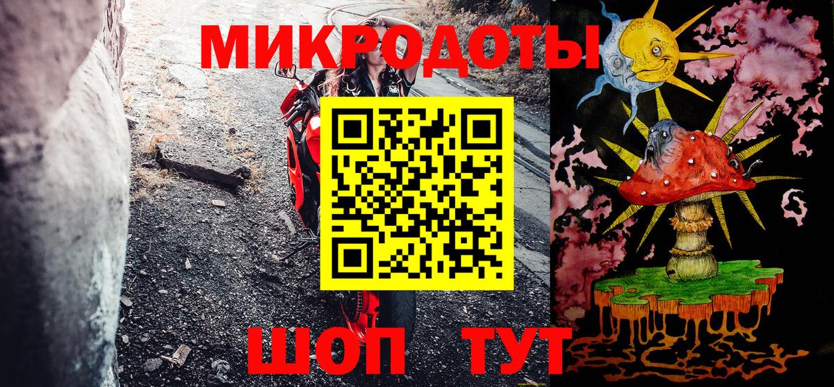 Галлюциногенные грибы Psilocybine cubensis  Приморско-Ахтарск 